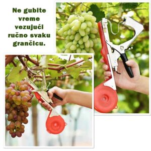 makaze za vezivanje loze značajno ubrzavaju i olakšavaju povezivanje grana