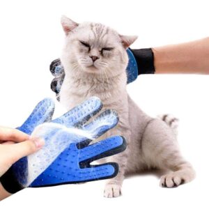 Mačka koju vlasnik masira rukavicom dok se uklanja dlaka sa dlana