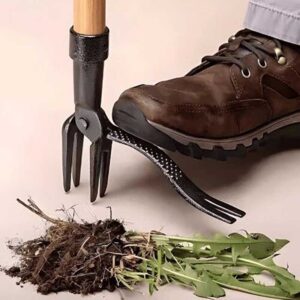 alat za vađenje korova i izvađen korov sa celim korenom