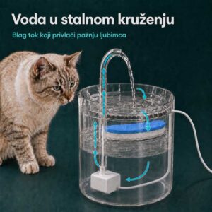 Mačka pored fontane za vodu sa prikazom stalnog kruženja i jednog mlaza
