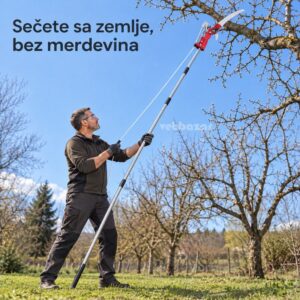 Muškarac sa zemlje seče visoku granu voćke makazama na dugačkoj dršci, bez merdevina